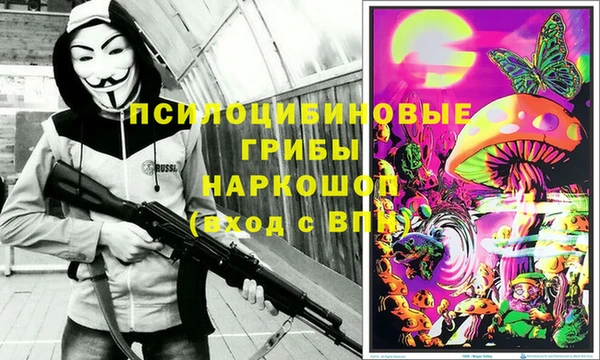 винт Снежногорск