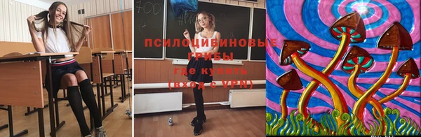 винт Снежногорск