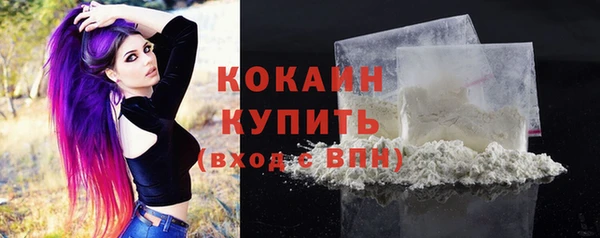 винт Снежногорск