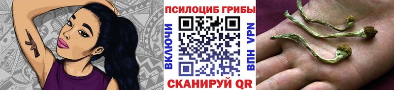 Галлюциногенные грибы Magic Shrooms  Купить  Холм 