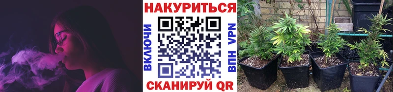 МАРИХУАНА VHQ Купить Холм